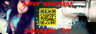 стафф Можга
