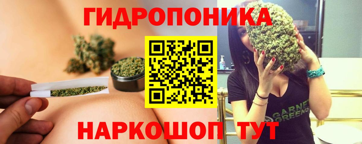 МАРИХУАНА план  Вход с VPN  Бошки марихуана тримм  Холмск 